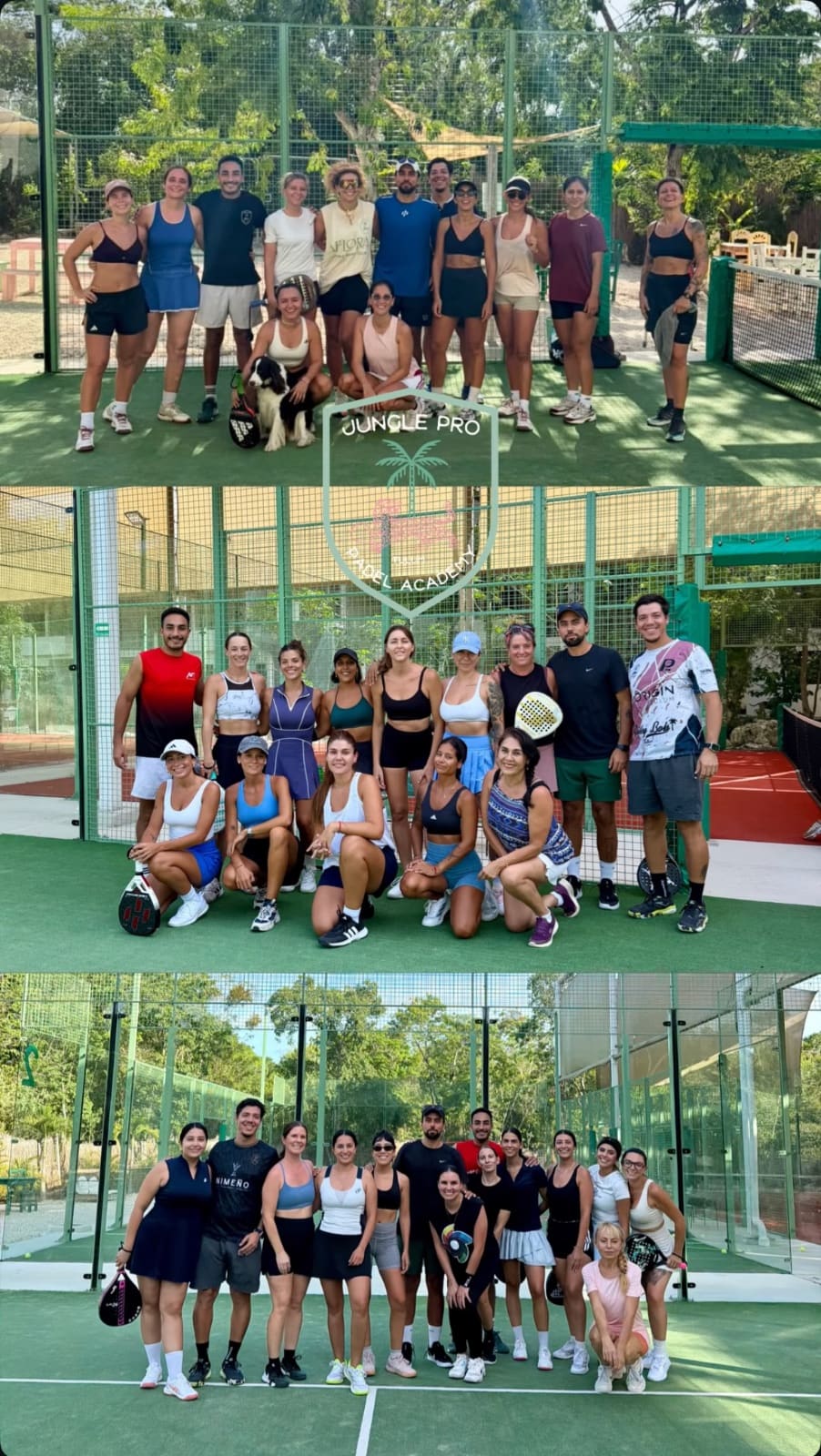 JUNGLE PADEL
