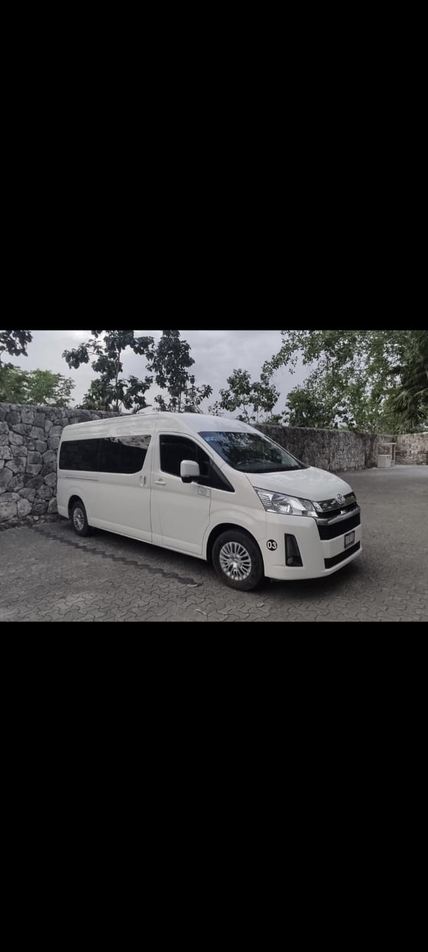Panther Transfer Tulum