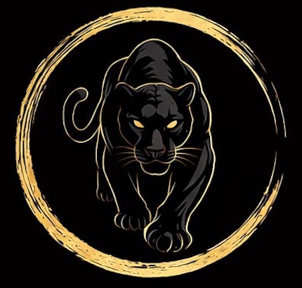 Logotipo de Panther Transfer Tulum