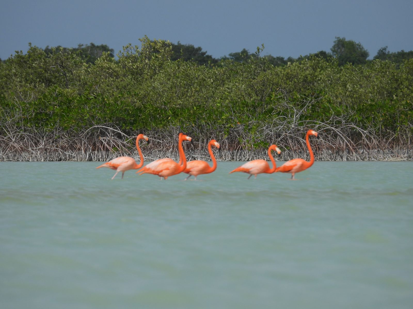 KAYAK TOUR IN SIAN KA´AN LAGUN