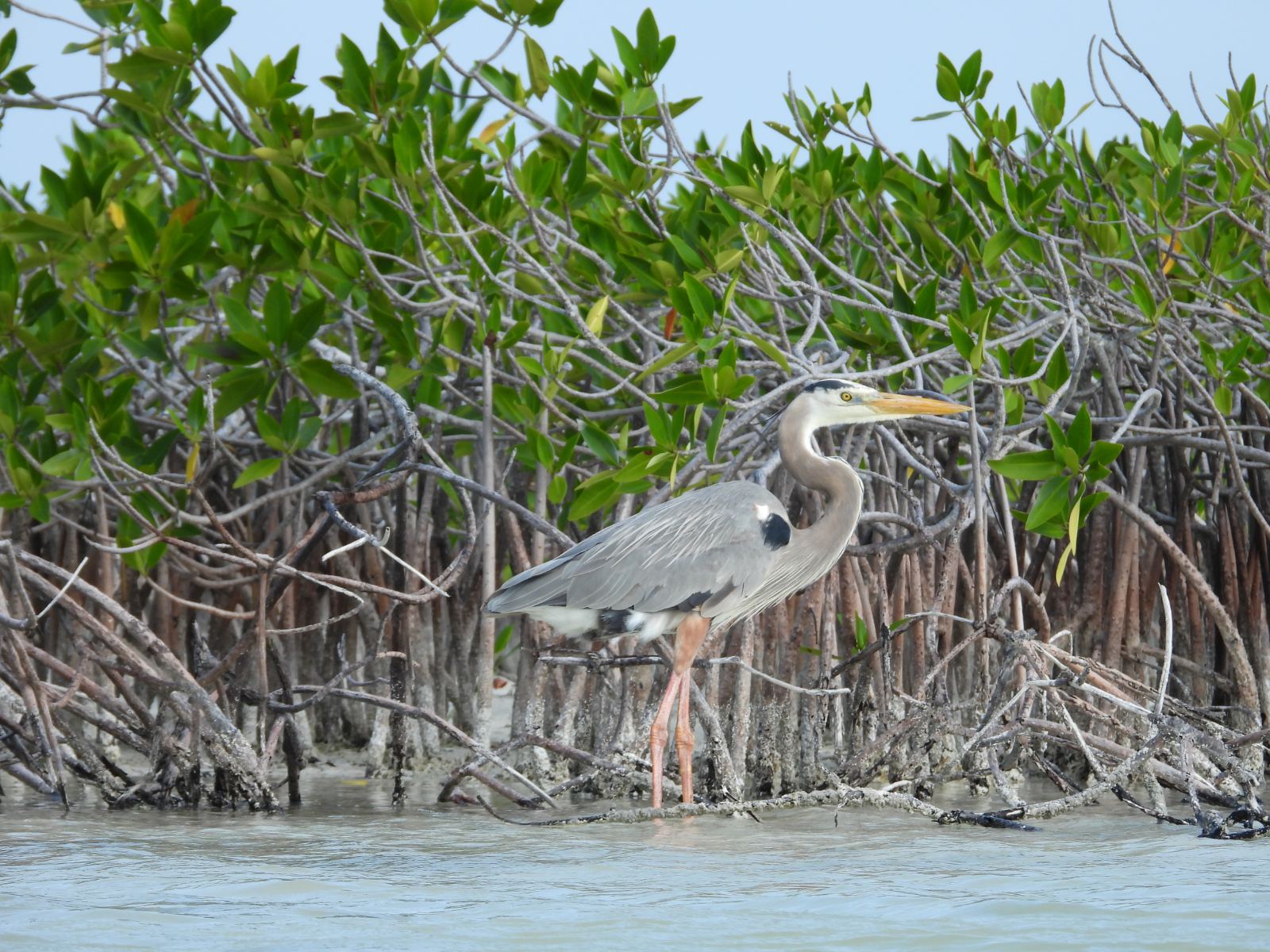 KAYAK TOUR IN SIAN KA´AN LAGUN