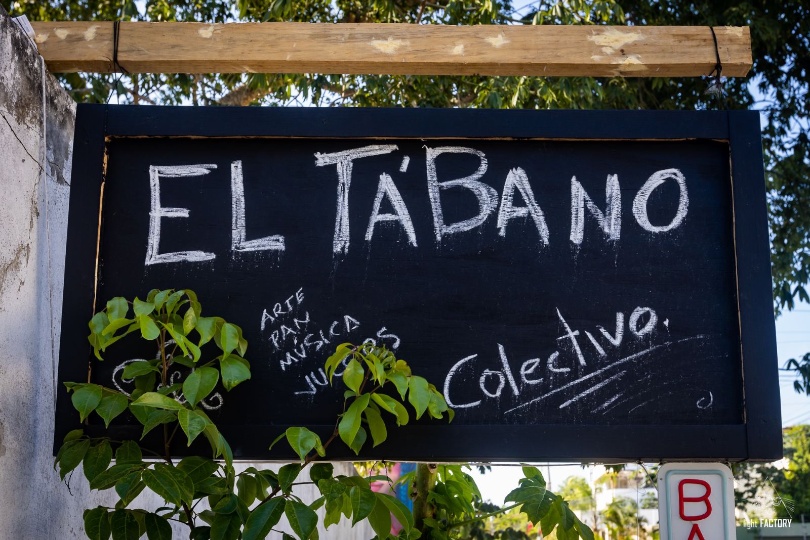 El Tábano