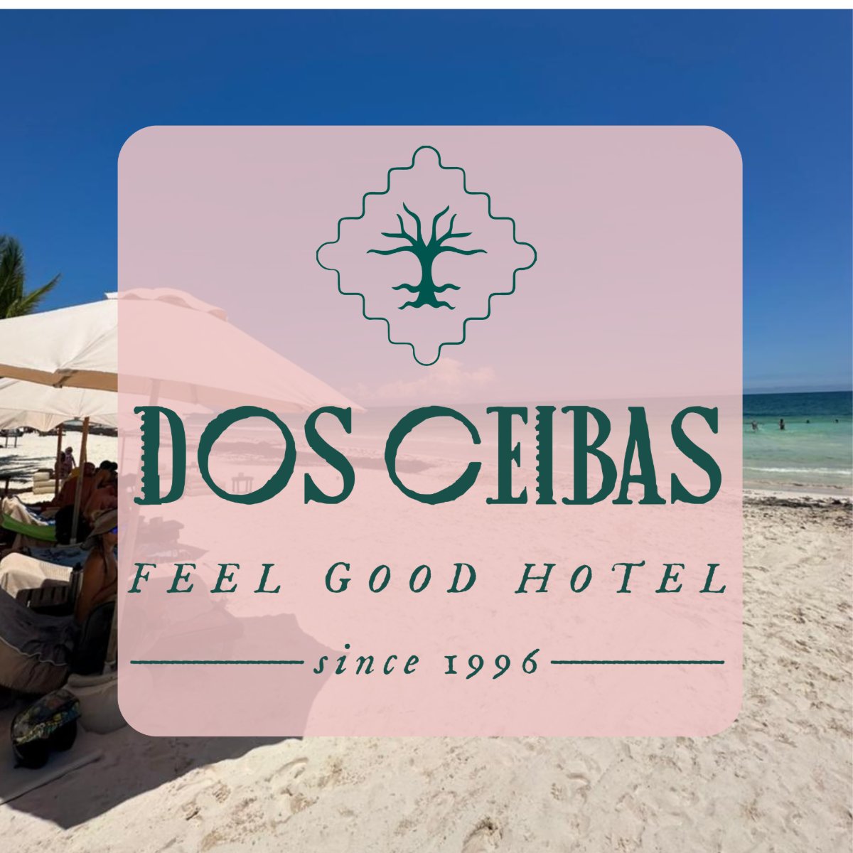 Logotipo de HOTEL DOS CEIBAS