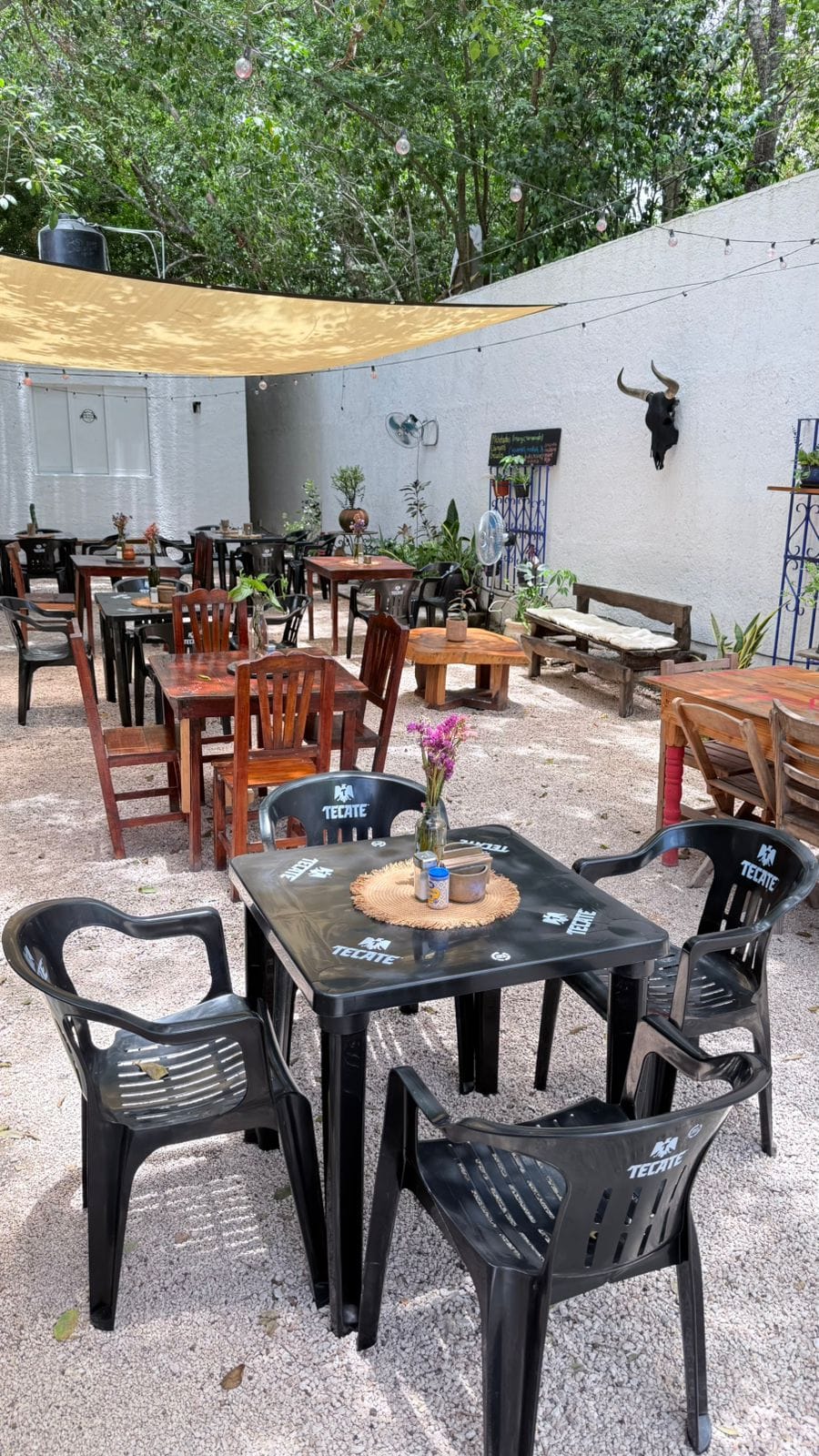 La Regia Veleta Tulum